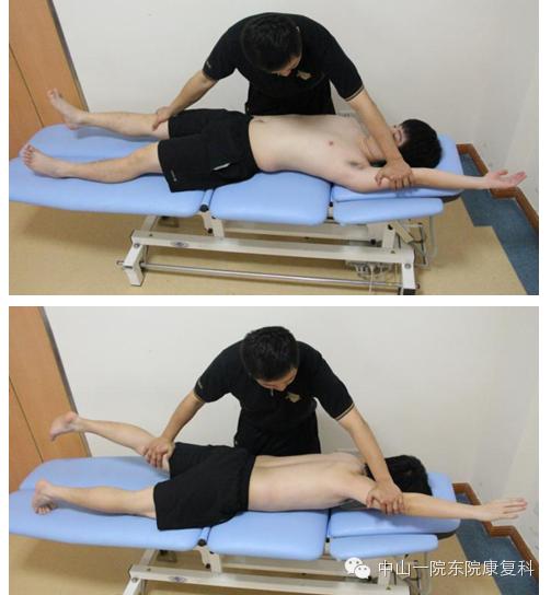 康复治疗技术人体解剖学,12条筋膜链解析及治疗手法