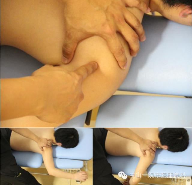 康复治疗技术人体解剖学,12条筋膜链解析及治疗手法