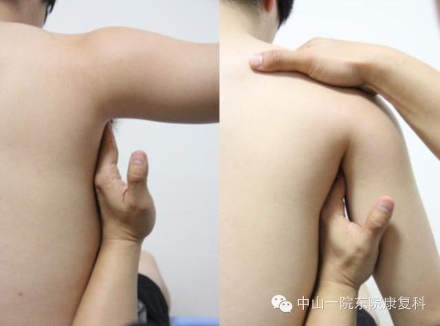 康复治疗技术人体解剖学,12条筋膜链解析及治疗手法