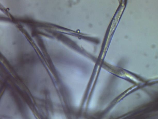 一条精选|日本人又出新招：蒸汽眼罩加了玻尿酸，舒缓干纹一级棒