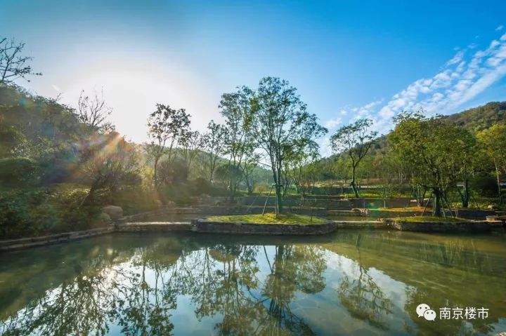 仙林湖别墅总价200万,仙林15万元一套新房