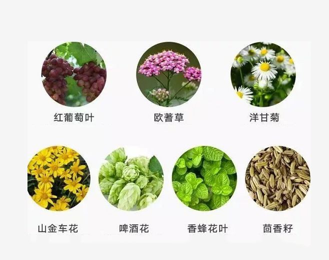 腰酸背痛、肩颈酸乏、肌肉疲劳?德国人有个家喻户晓的妙招||Chin@美物