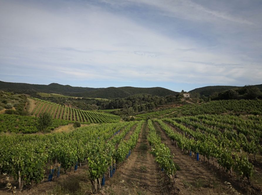 腰酸背痛、肩颈酸乏、肌肉疲劳?德国人有个家喻户晓的妙招||Chin@美物