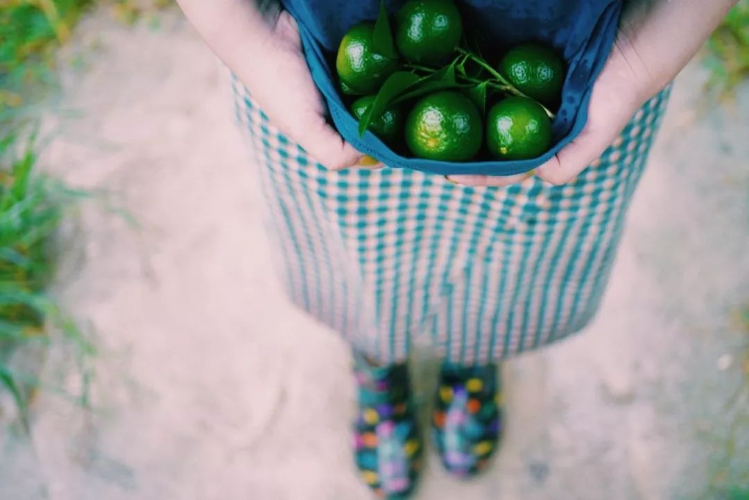 8月好物,八月好物推荐橱窗