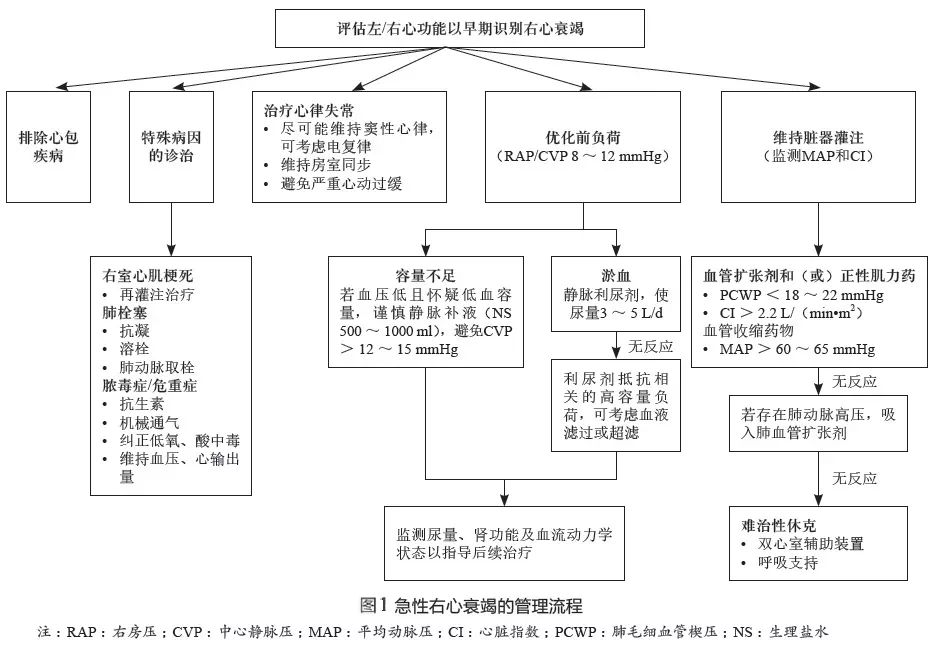 心力衰竭合理用药指南第2版,2018心力衰竭诊断与治疗指南解读