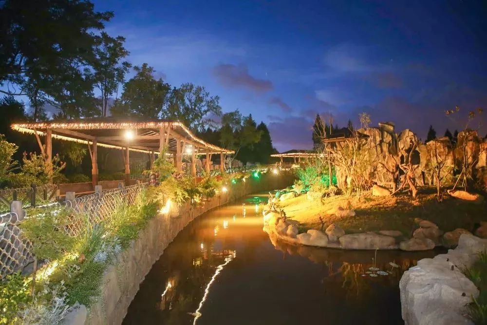 上海动物园有什么好去处,上海动物园免费参观攻略