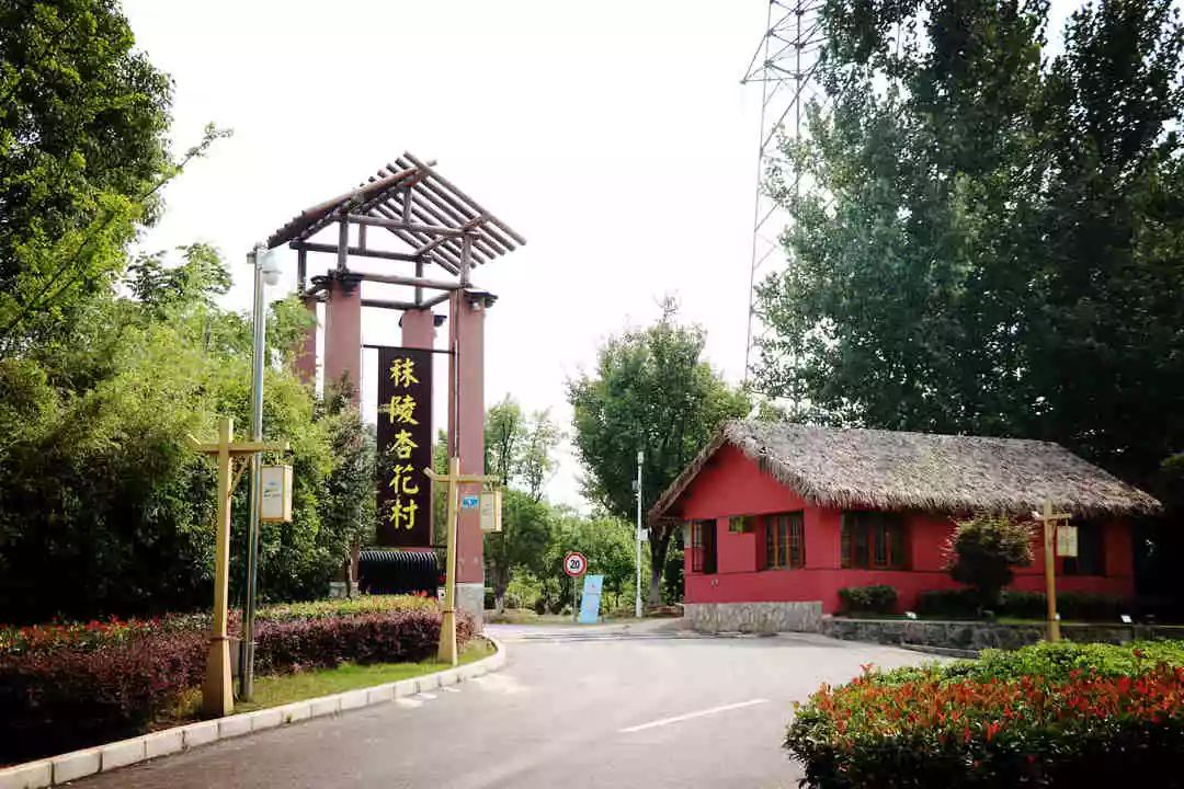 南京江宁区秣陵杏花村景区,南京秣陵杏花村