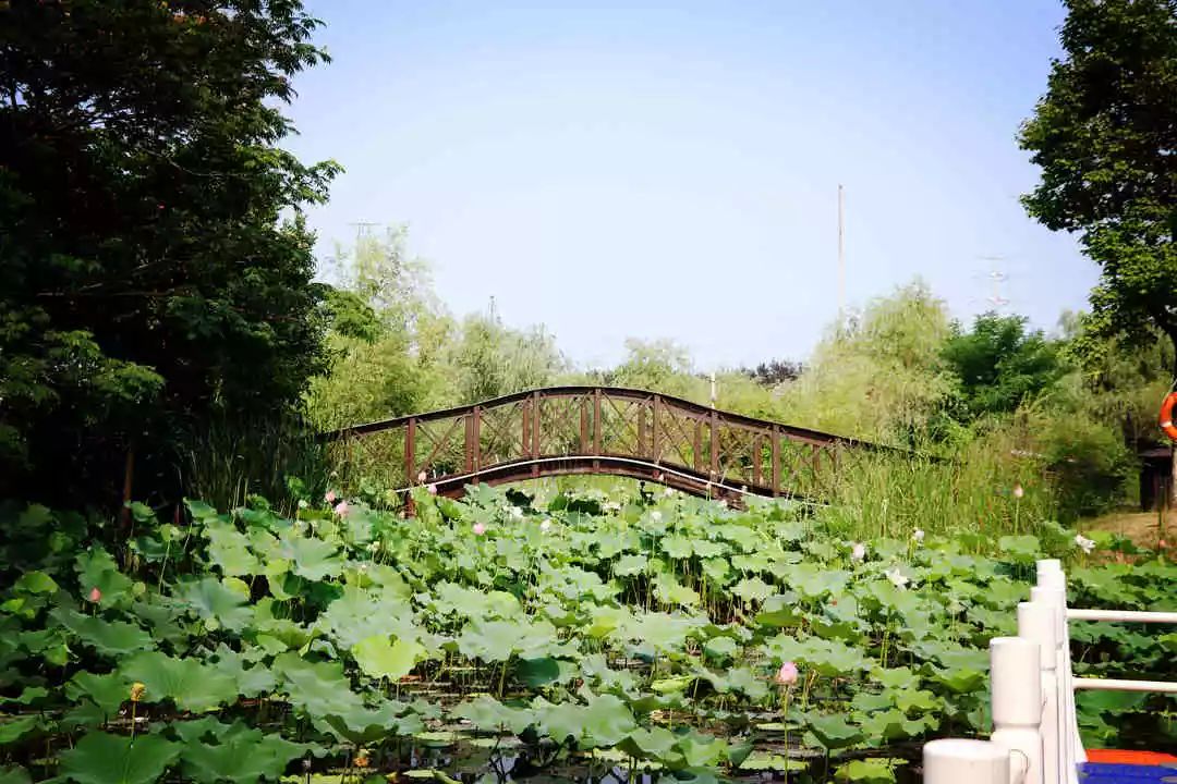 南京江宁区秣陵杏花村景区,南京秣陵杏花村