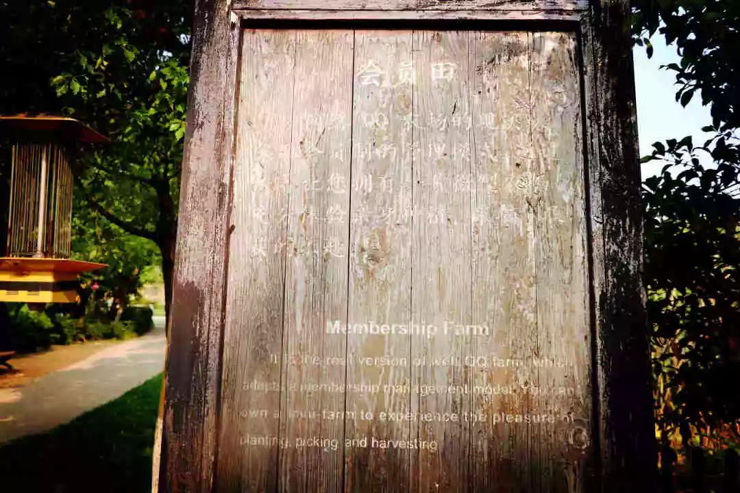 南京江宁区秣陵杏花村景区,南京秣陵杏花村