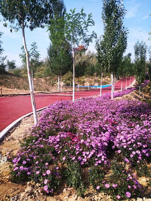 涓滄箹鍏洯甯傛皯鍏洯,姹熼棬涓滄箹鍏洯浼戦棽涔愬洯