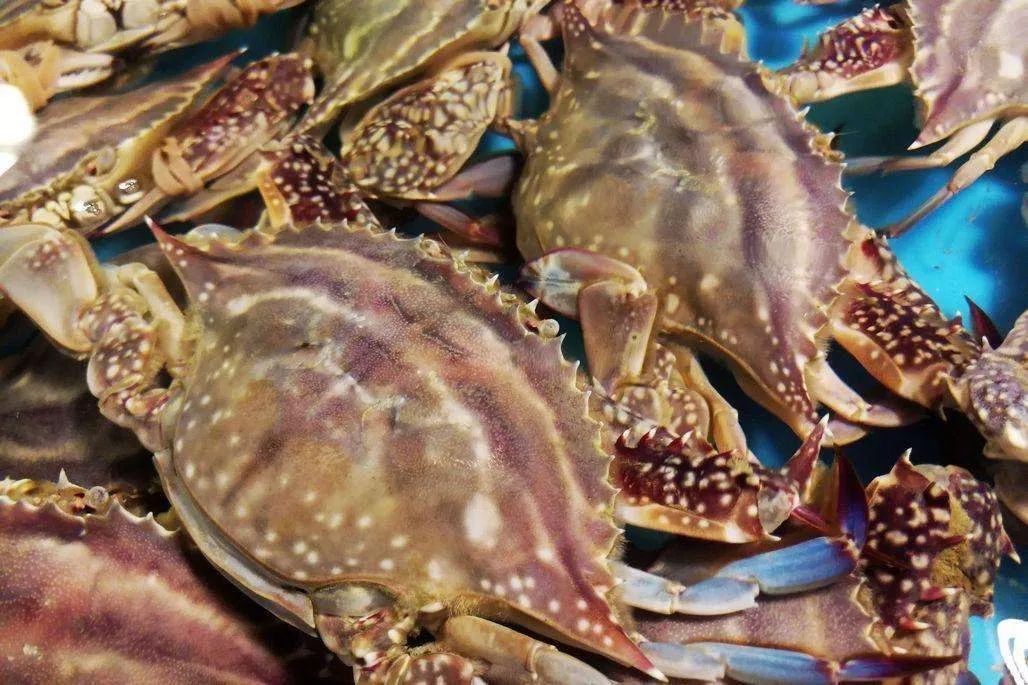 希尔顿度假酒店2599元客房2晚,希尔顿6天5晚游价格表