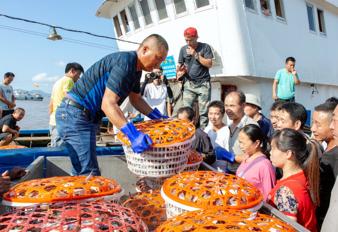 希尔顿度假酒店2599元客房2晚,希尔顿6天5晚游价格表