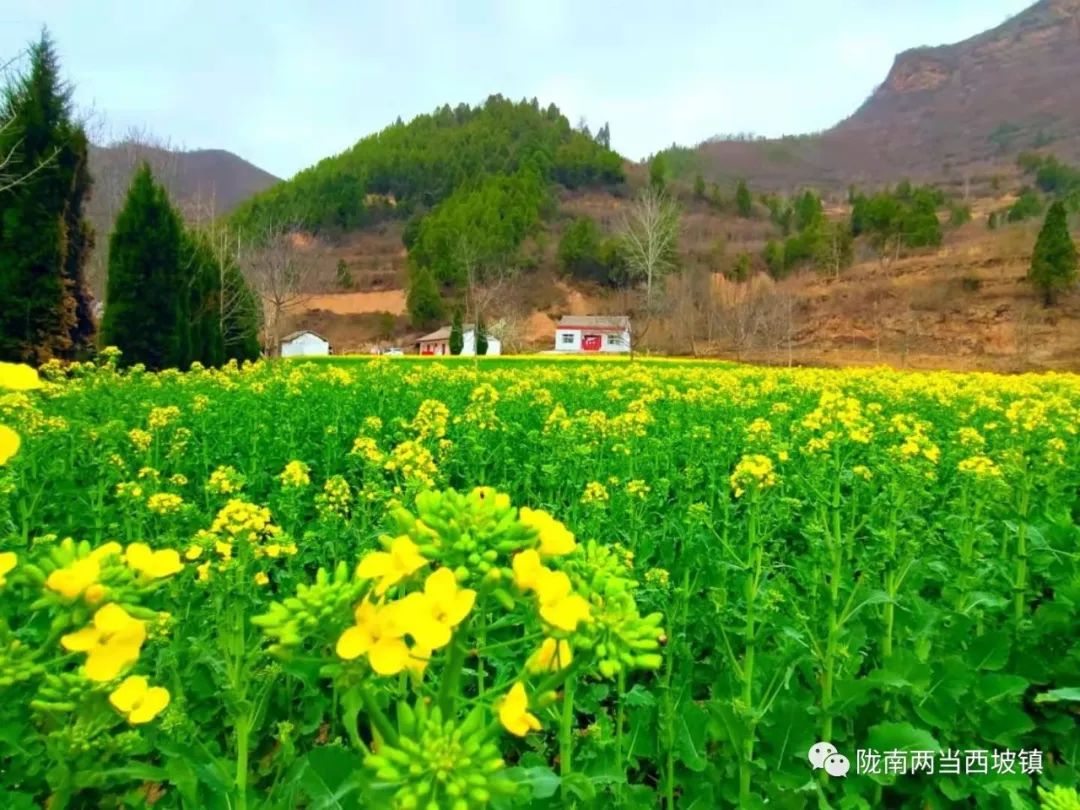 新型土地流转合作社,合作社带动农户土地流转