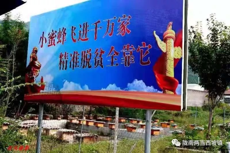 新型土地流转合作社,合作社带动农户土地流转