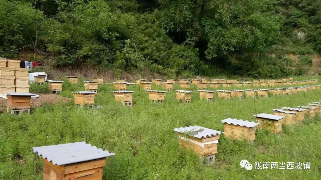 新型土地流转合作社,合作社带动农户土地流转