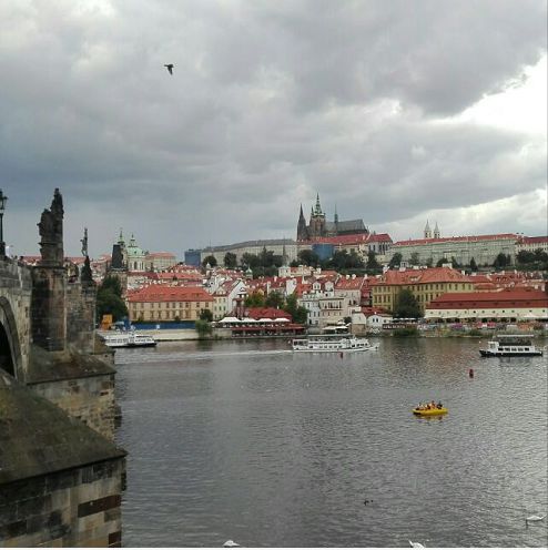 深圳地铁投放广告被举报,深圳地铁站雷人广告