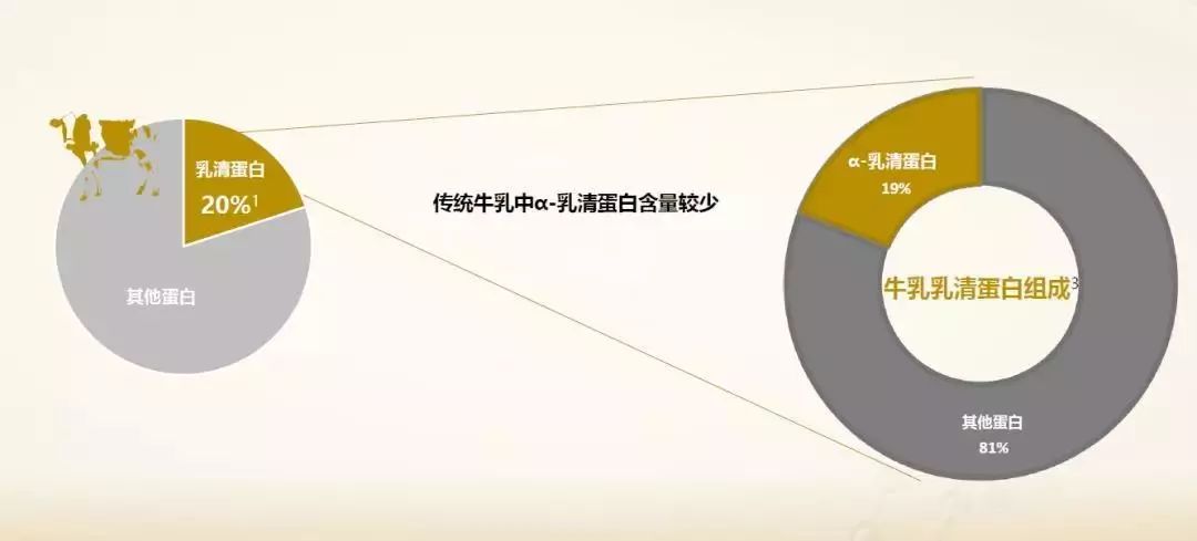 国外和国内的育儿方式,中国和西方育儿区别是什么