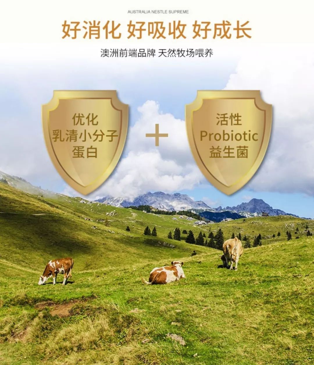 国外和国内的育儿方式,中国和西方育儿区别是什么