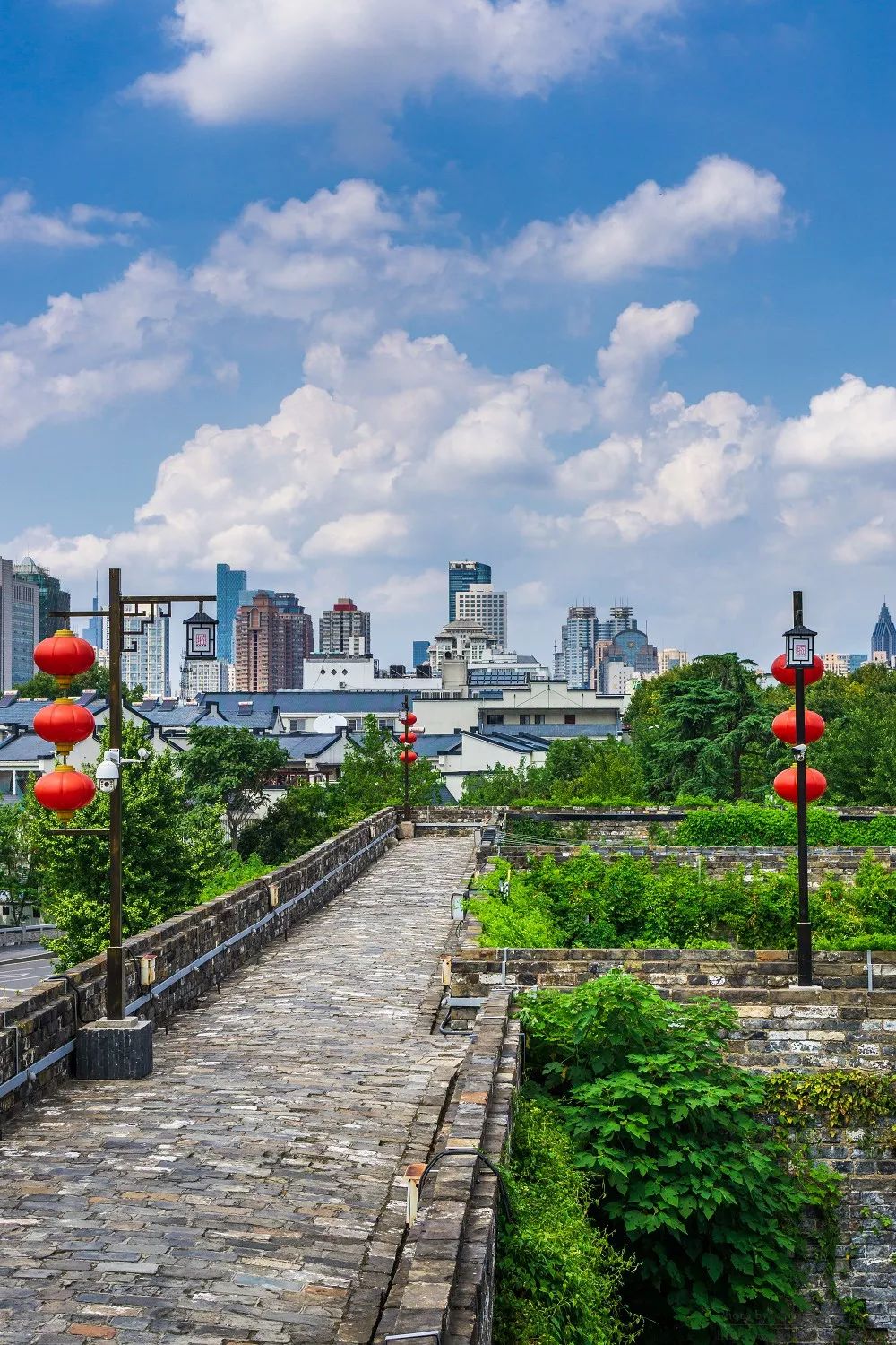 南京是什么气候类型,南京所有颜色