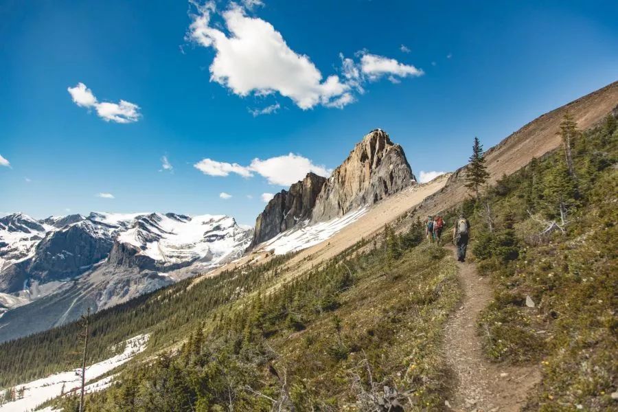 古生物学家发现1亿年前蛙卵琥珀,科学家发现五亿年前的生物
