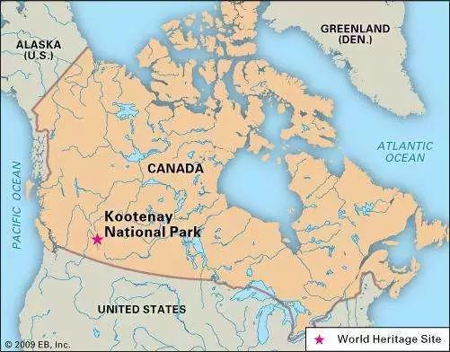 古生物学家发现1亿年前蛙卵琥珀,科学家发现五亿年前的生物