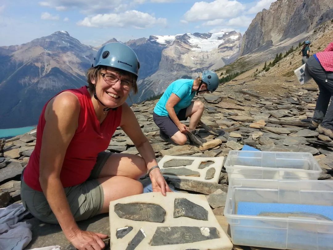 古生物学家发现1亿年前蛙卵琥珀,科学家发现五亿年前的生物