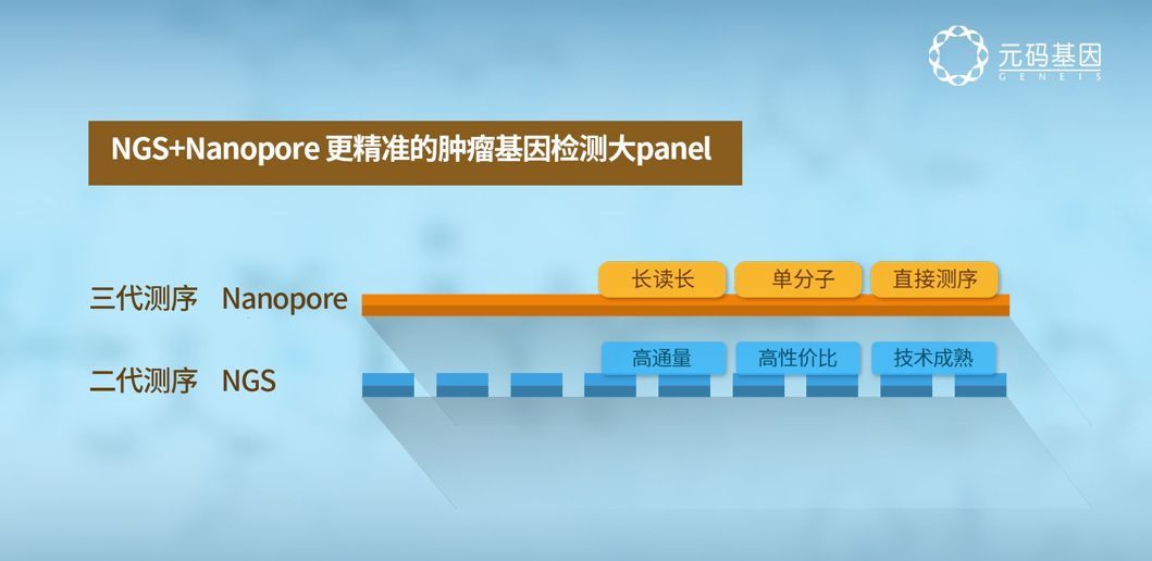 元码医学基因检测靠谱吗,元码基因检测结果查询