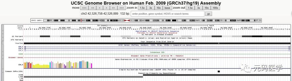 元码医学基因检测靠谱吗,元码基因检测结果查询