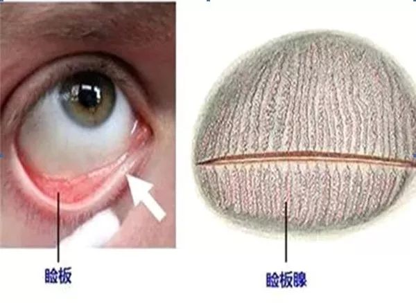 好消息！秀山首家干眼门诊开诊啦！