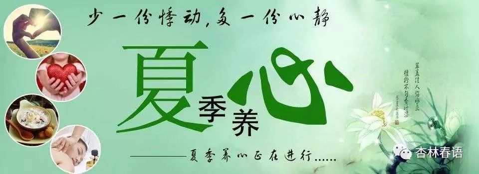 杏林养生食谱推荐夏天,杏林养生食谱推荐大全