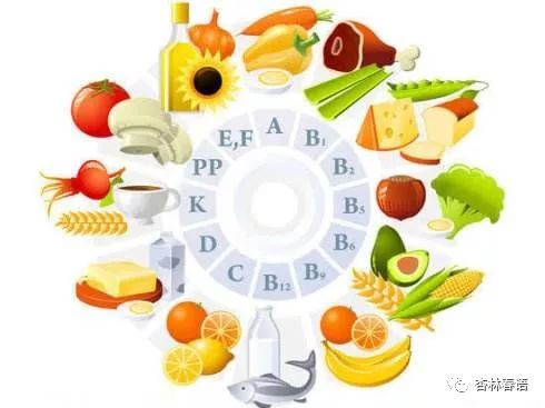 杏林养生食谱推荐夏天,杏林养生食谱推荐大全