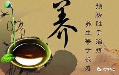 杏林养生食谱推荐夏天,杏林养生食谱推荐大全