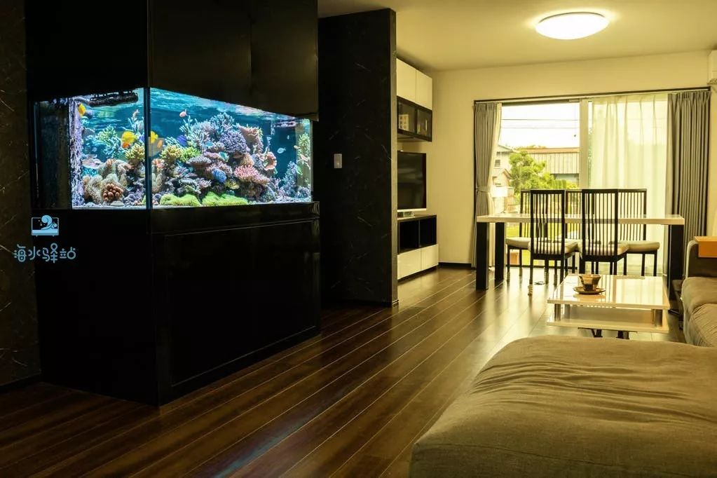 2019年我大学毕业后在日本开个海水店