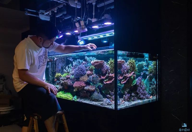 2019年我大学毕业后在日本开个海水店