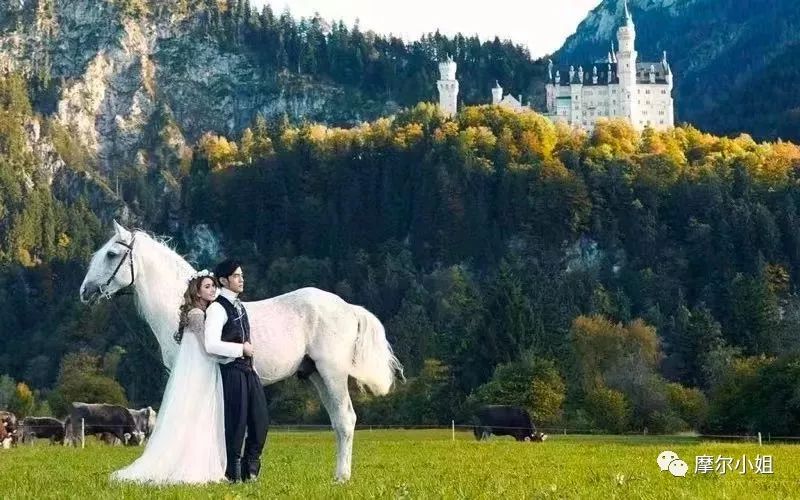 七夕柠檬酸|别人的神仙爱情，从不让人失望