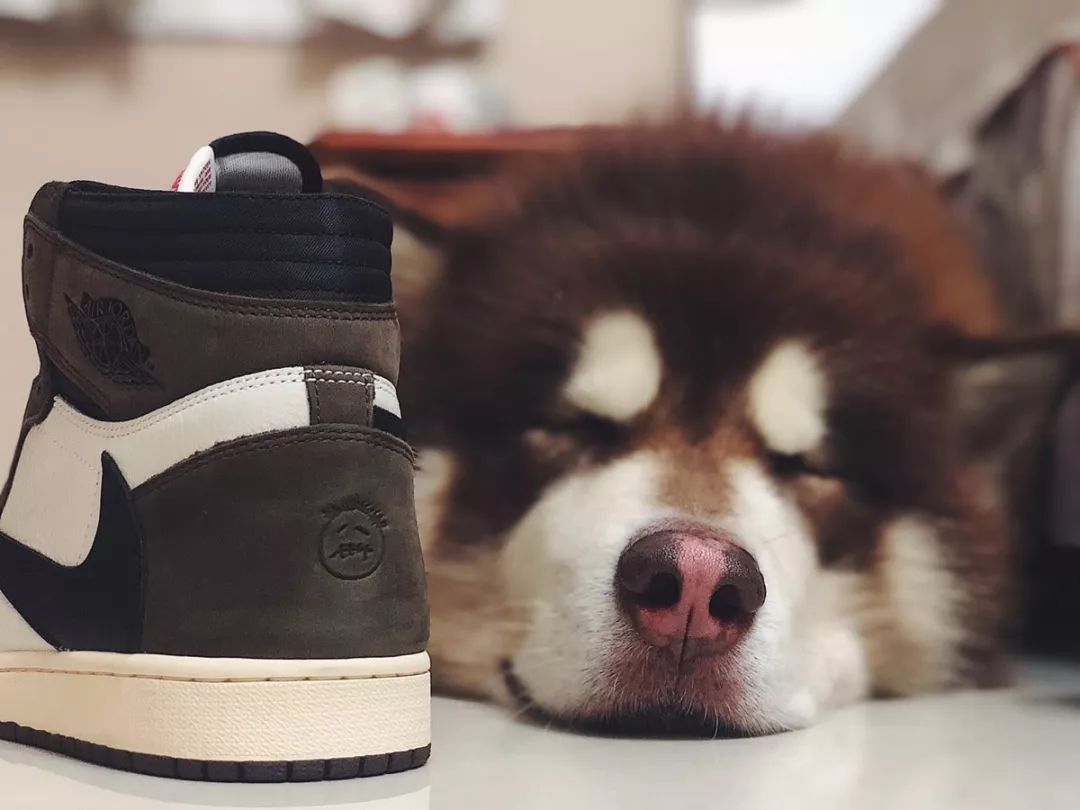 那些夏天穿aj的人不热吗,夏天穿aj会被人嘲笑吗