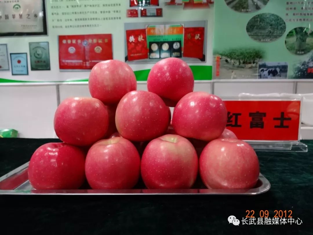 陕西长武苹果产业园,长武苹果基地