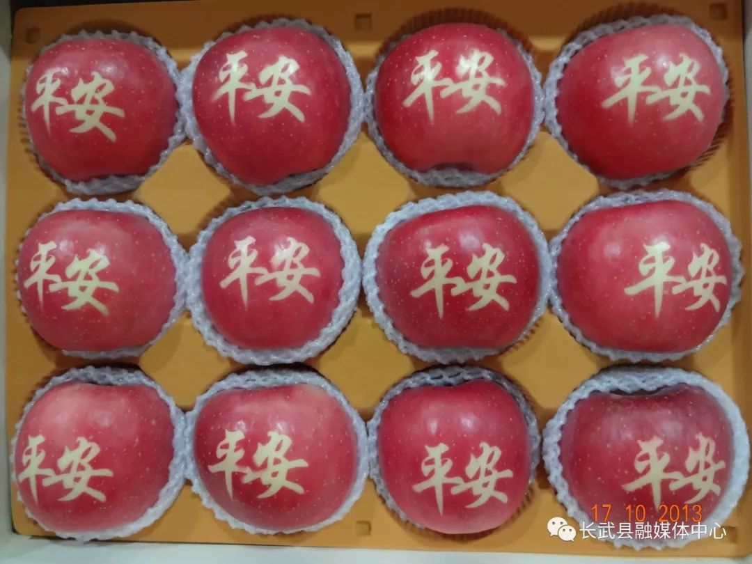 陕西长武苹果产业园,长武苹果基地