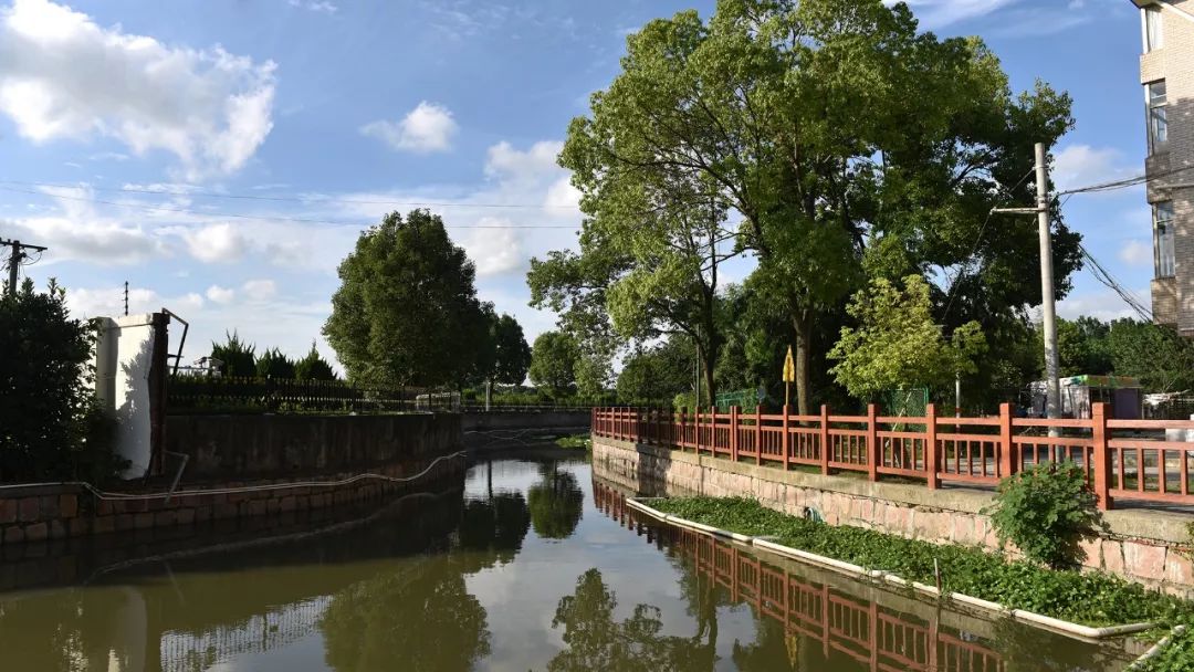 【图说】徐泾水环境“成绩单”出炉，一组图片眼见为实