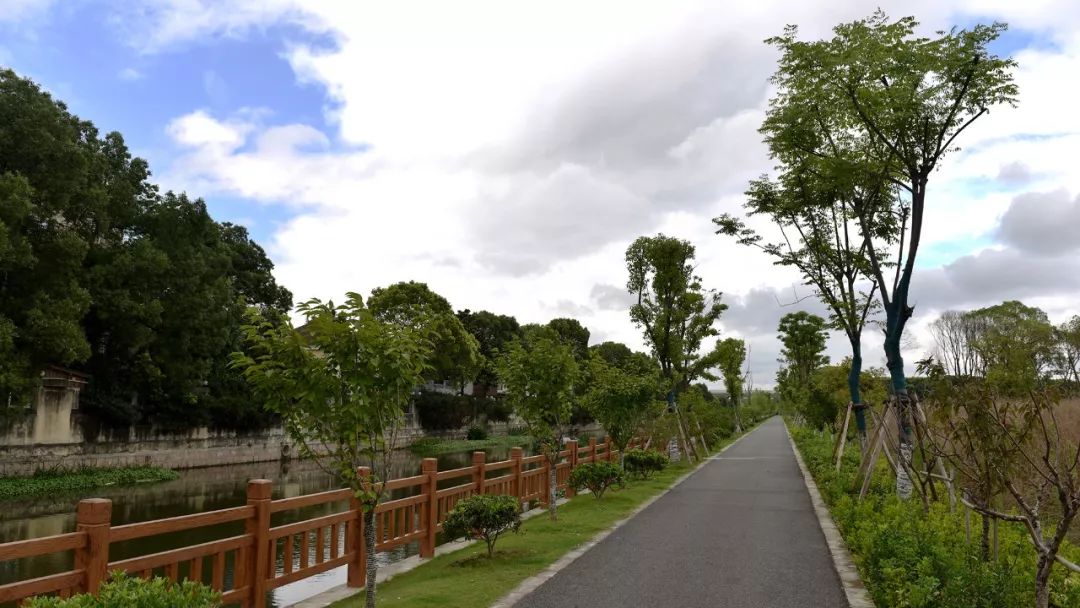 【图说】徐泾水环境“成绩单”出炉，一组图片眼见为实