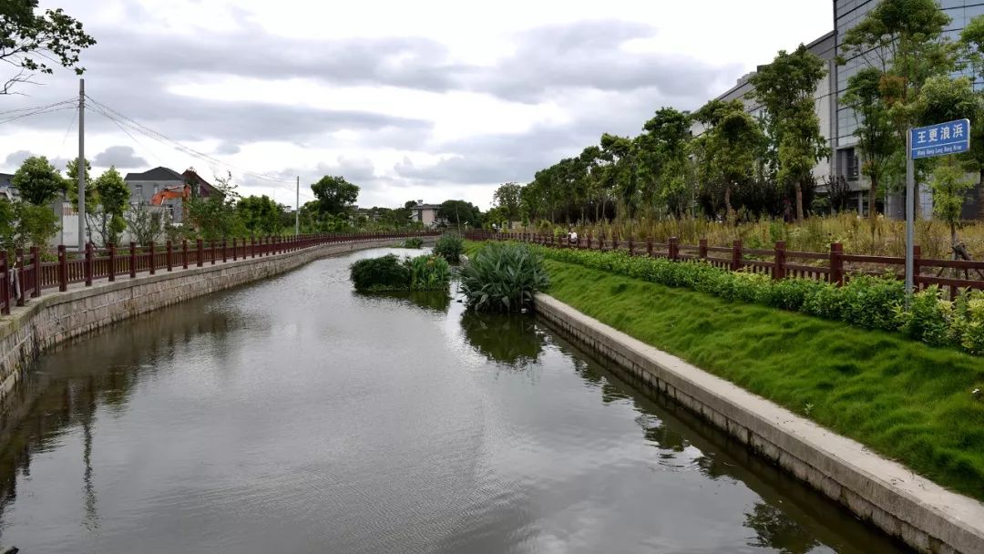 【图说】徐泾水环境“成绩单”出炉，一组图片眼见为实