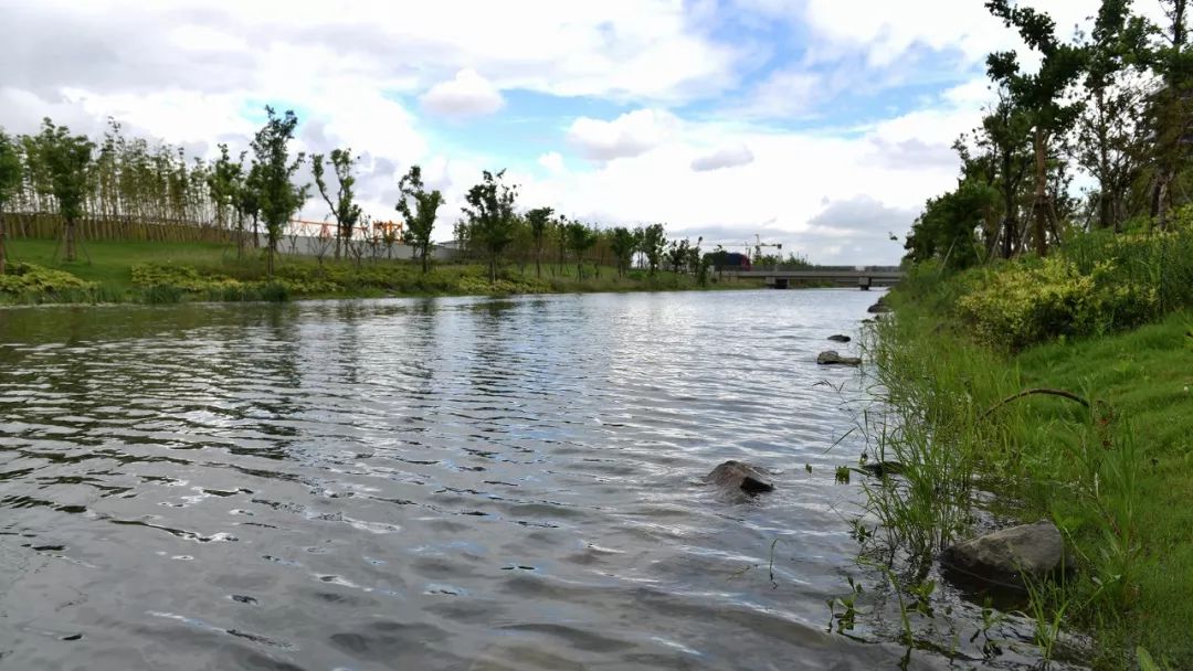 【图说】徐泾水环境“成绩单”出炉，一组图片眼见为实