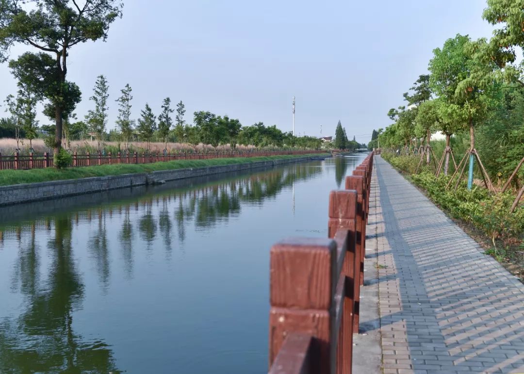 【图说】徐泾水环境“成绩单”出炉，一组图片眼见为实