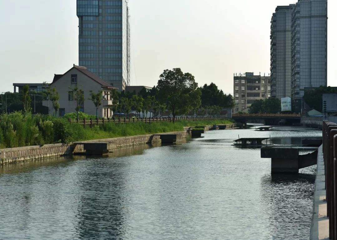 【图说】徐泾水环境“成绩单”出炉，一组图片眼见为实