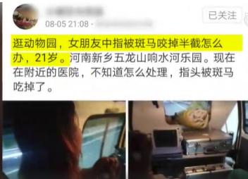 21岁女孩被斑马咬掉一截手指,女孩遭游乐园斑马咬掉手指