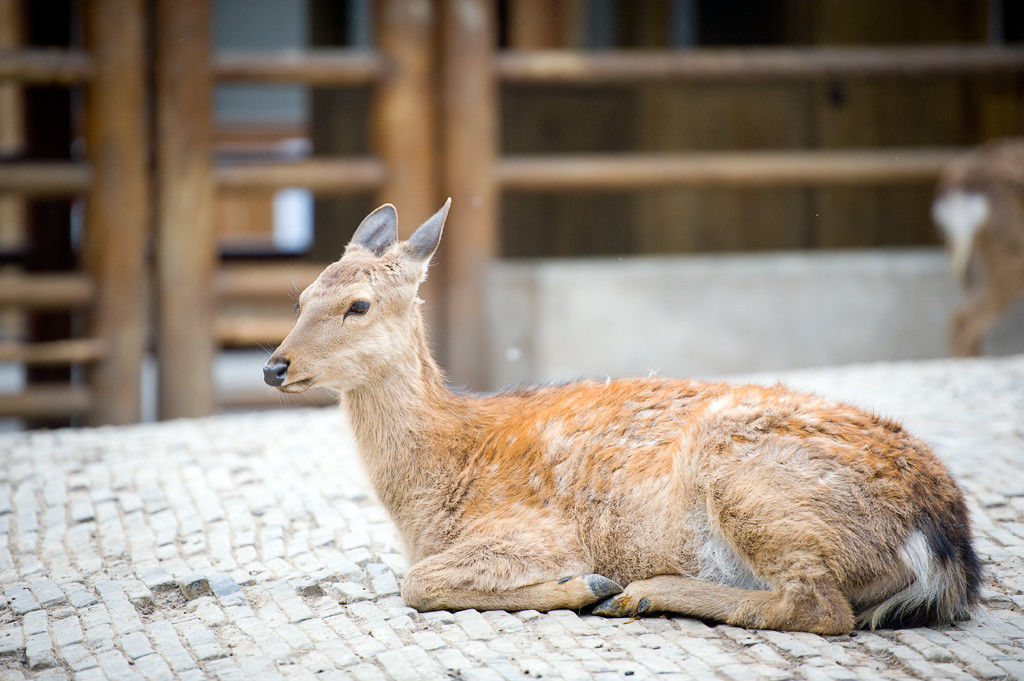 控江路视频,控江路到海昌海洋要多久