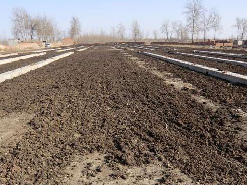 怎样把鸡粪变熟肥,怎样才能把鸡粪变成水