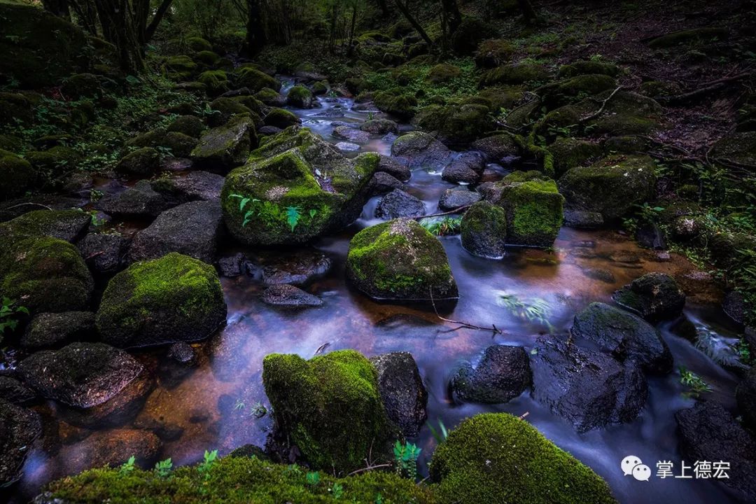 老钏“晒”作品！一个被足球耽误了的德宏摄影师