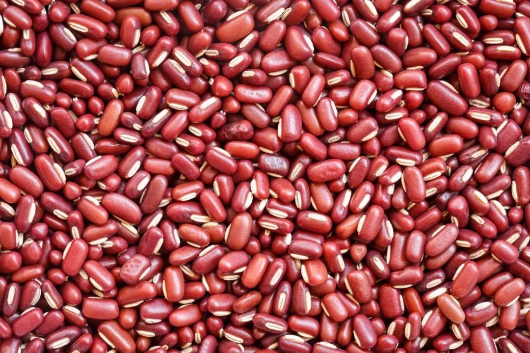 吃三种食物可快速祛湿,健脾养胃祛湿气吃什么菜好