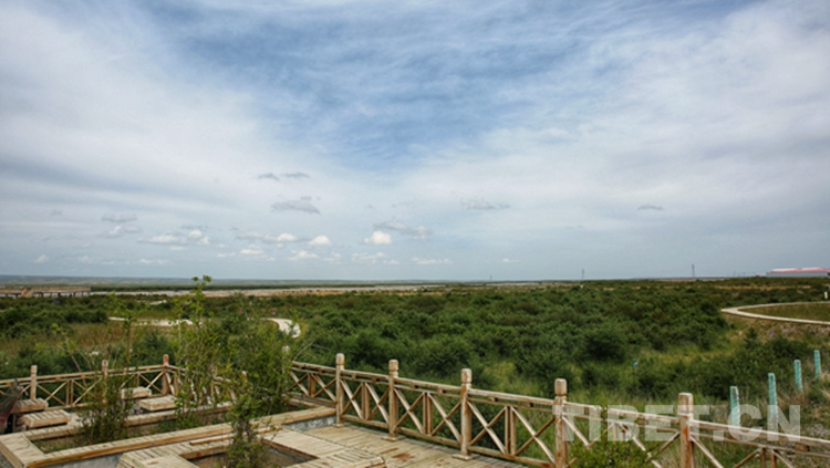 海西,你怎么这么好看